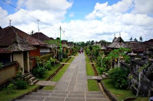 Balinese Village Experience