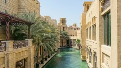 Photo of 11 Best Things To Do In Dubai