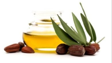 Photo of Jojoba oil is beneficial in many skin problems, these benefits are available