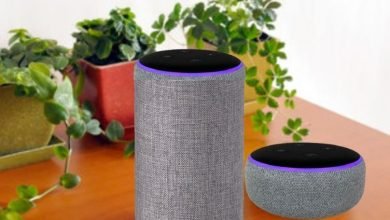 Photo of What Does The Purple Ring Light Mean On Amazon Alexa Device?