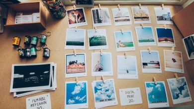 Photo of 5 Activities You Might Love If You’re Into Photography