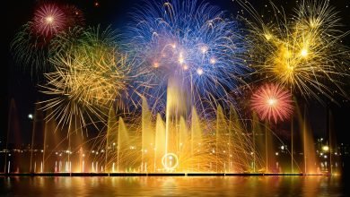 Photo of Different Types Of Fireworks Which You Can Buy Online