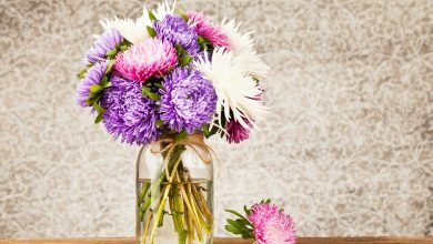 Photo of 5 Wholesale Flowers Frequently Asked Questions