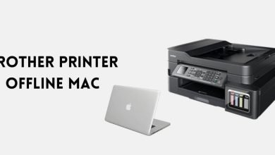 Photo of The Brother Printer offline problem