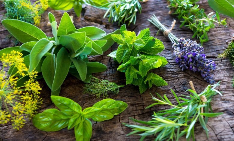 Health Benefits of Delicious Herbs