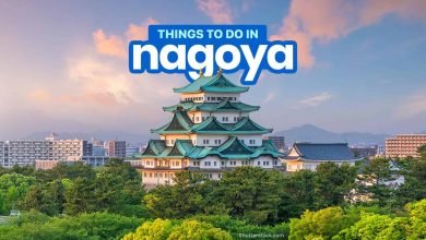 Photo of Top Activities To Do In Nagoya That You Should Not Miss