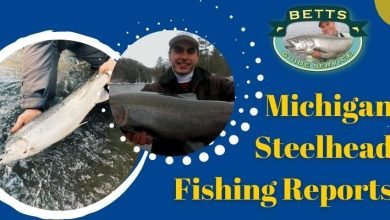 Photo of What are the basics of steelhead fishing?