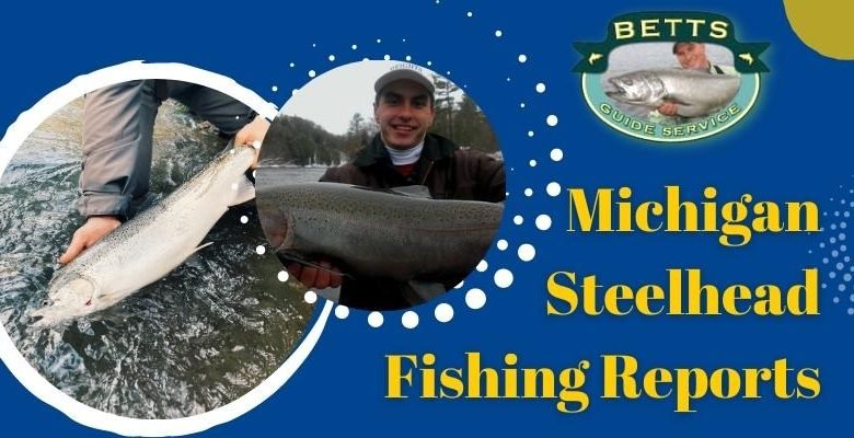 Michigan Steelhead Fishing Reports