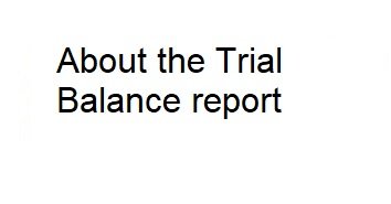 Photo of About the Trial Balance report