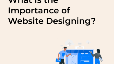 Photo of What Is the Importance of Website Designing?