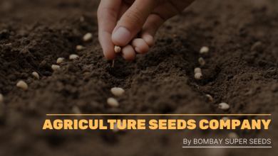 Photo of How do I start an agriculture seeds company?