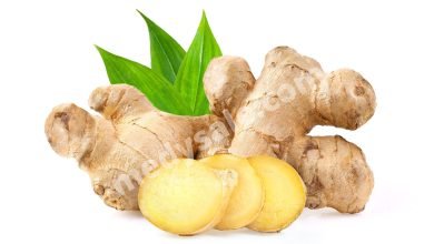 Photo of Ginger Should Be Included In Your Daily Diet