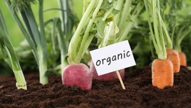 Photo of What is organic farming? its advantages