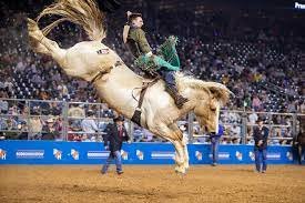 Photo of streams!: Dine College Rodeo 2022 live free rodeo Sceduled & REsults 14/09/2022