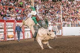 Photo of streams!: Sparta Chamber of Commerce Pro Rodeo 2022 live free rodeo Sceduled & REsults 14/09/2022