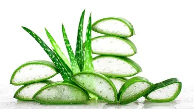 Photo of You Should Use Aloe Vera Gel On Your Hair Right Now