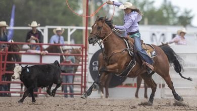 Photo of [#pvp@tv] Ram Prairie Circuit Finals 2022 Live free Rodeo