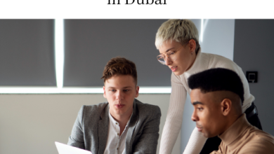 Photo of HubSpot Consultant in Dubai