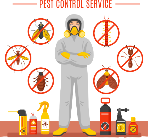 Type Of Pest Control Services In Wollert