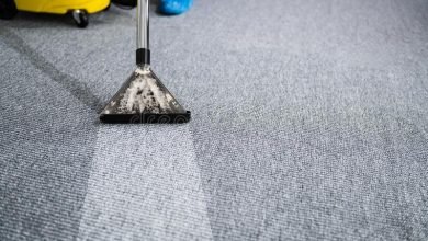 Photo of Top 5 Reasons You Need Carpet Cleaning Melbourne experts!