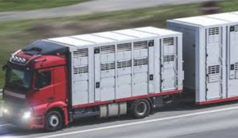 Importance of consuming animal transportation for transferring animals