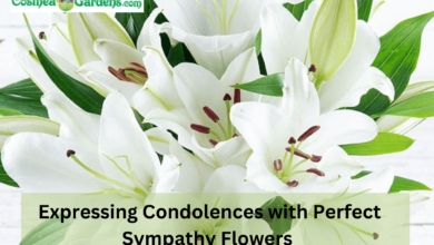 Photo of Expressing Condolences with Perfect Sympathy Flowers