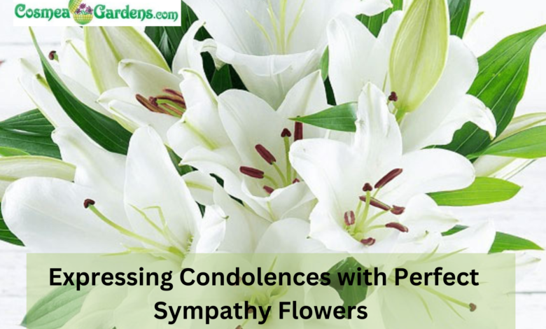 Sympathy Flowers-Cosmea Gardens