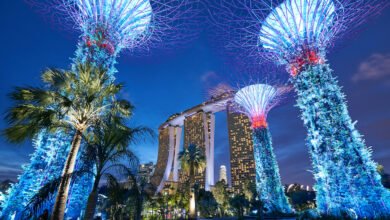 Photo of Your Perfect Timing: When to Visit Singapore